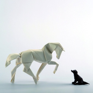 Diagrams horse:https://vallebird.files.wordpress.com/2014/05/new-horse-diagrams.pdf dog: https://vallebird.files.wordpress.com/2014/05/seated-dog.pdf
